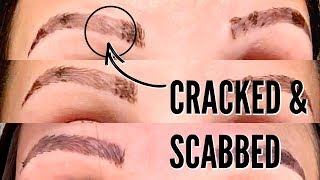 MICROBLADING HEALING PROCESS  THE FIRST 2 WEEKS [upl. by Baptista739]