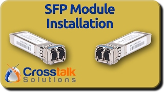 SFP Module Installation [upl. by Haldas]