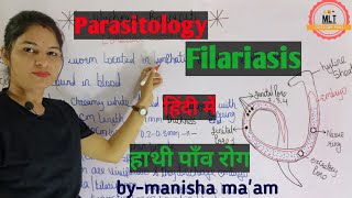 Filariasis हाथीपाँव  wuchereria bancrofti  Microfilaria  Mlt Lecture  Parasitology [upl. by Novi]