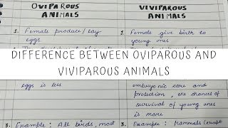 Difference between Oviparous and Viviparous animals 12th Biology [upl. by Akeim]