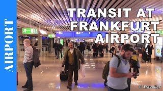 TRANSIT WALK AT FRANKFURT Airport FRA Terminal 1  Connection Flight Transfer Arriving amp Departing [upl. by Grani415]