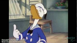 The History of Donald Duck [upl. by Merrily]