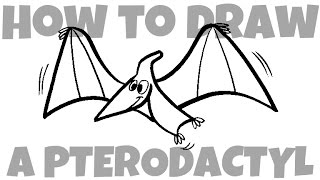 How to Draw a Pterodactyl [upl. by Aerb949]