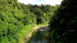 FIJI Water and Conservation International team up to protect Fiji’s rainforest [upl. by Seana323]