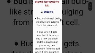 What is budding Class 7 ScienceReproduction in Plants [upl. by Gerius]