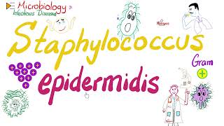 Staphylococcus epidermidis  Microbiology 🧫 amp Infectious Diseases 🦠 [upl. by Yzeerb]