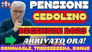 PENSIONI CEDOLINO DICEMBRE 2023 ARRIVATO CONSULTA GLI IMPORTI [upl. by Basilius762]