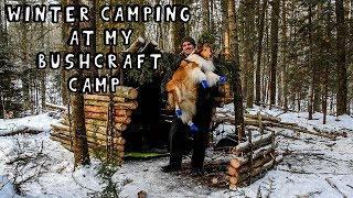 Winter Camping at My Bushcraft Camp [upl. by Ahsikym]