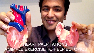 Heart Palpitations A simple exercise to help ectopic heart beats [upl. by Edurtreg]