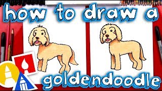 How To Draw A Goldendoodle [upl. by Asenav]