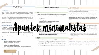 3 Ideas para Apuntes Digitales Minimalistas en Word [upl. by Nadabus]