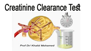 Creatinine Clearance Test تحليل استخلاص الكرياتينين [upl. by Lenni]