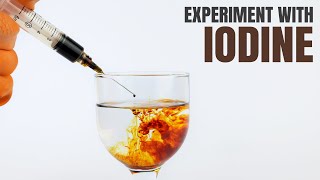 EXPERIMENT WITH IODINE  Iodine Chemical Reaction [upl. by Hnib]