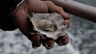 Gordon Ramsays Guide To Shellfish [upl. by Zeret]