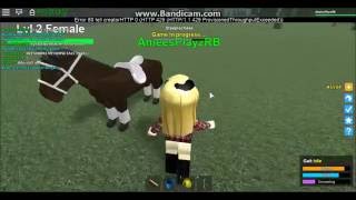 Roblox Horse Valley 4 Secrets Tips and Tricks [upl. by Drugge]