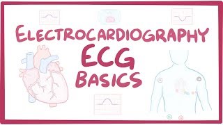 Electrocardiography ECGEKG  basics [upl. by Marita]