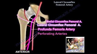 Humerus Fractures  Everything You Need To Know  Dr Nabil Ebraheim [upl. by Canning]