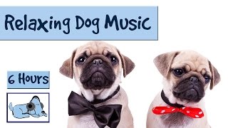 6 HOURS of Relaxing Dog Music For Separation Anxiety and Restless Pups [upl. by Anatsirhc]