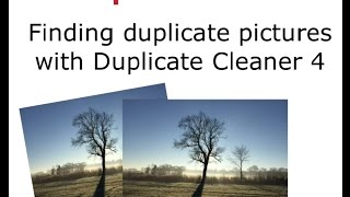 Finding duplicate pictures with Duplicate Cleaner [upl. by Yenahpets]