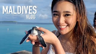 WHAT WE DID IN MALDIVES [upl. by Aivyls]