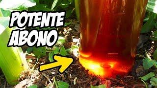 ¡Este Fertilizante Vale ORO Abono Casero para tus Plantas  La Huerta de Ivan [upl. by Carver]