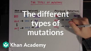 The different types of mutations  Biomolecules  MCAT  Khan Academy [upl. by Akerley]