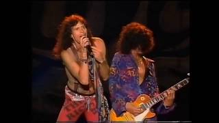 Aerosmith  Dude Looks Like A Lady Live  Holland 1994 720p HD [upl. by Goda]