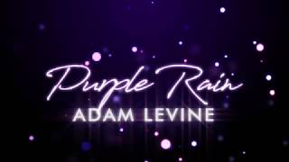 Adam Levine  Purple Rain Lyrics [upl. by Immas]