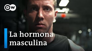 Testosterona  La fuerza motriz de los hombres  DW Documental [upl. by Llewej]