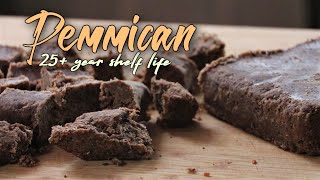 How to make Low Tech Pemmican  Survival food that lasts over 25 years [upl. by Junius]