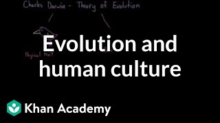 Evolution and human culture  Society and Culture  MCAT  Khan Academy [upl. by Donetta]