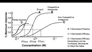 Receptor Binding Graph  Competitive amp Noncompetitive Antagonist Partial Agonist [upl. by Baggott]