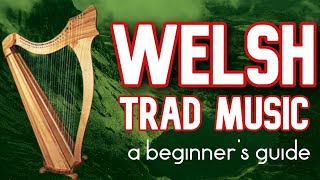 Welsh Trad Music  A Beginners Guide [upl. by Annaej]