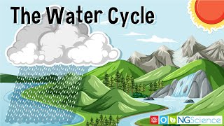 Water Hydrological Cycle [upl. by Violetta903]