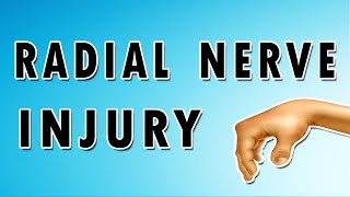 Radial Nerve Injuries [upl. by Bertasi887]