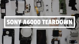 Sony A6000 Disassembly [upl. by Virge178]