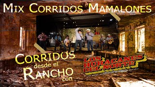 Los Huracanes Del Norte  Mix Corridos Mamalones [upl. by Llennoc]