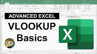 Advanced Excel  VLOOKUP Basics [upl. by Norrabal]