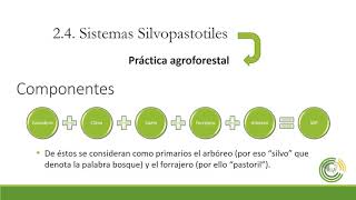 Sistemas Agroforestales [upl. by Lulita]