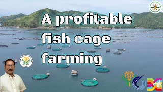 Mariculture a profitable industry  fish cage farming Philippines  Sec Manny Piñol  BFAR [upl. by Eilama]