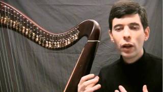 Your first harp lesson  Intro [upl. by Dnomal513]