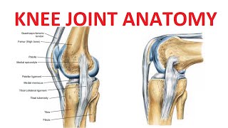 Dislocating Knee Cap Surgery  MPFL Reconstruction [upl. by Brigit]