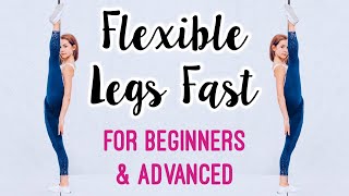 Get Flexible Legs Stretches for Leg amp Hip Flexibility [upl. by Kirsteni890]