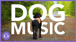 Dog Music 10 Hours of Deeply Relaxing Sleep Music [upl. by Aneev]