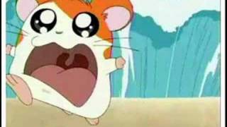 hamtaro arabic opening [upl. by Rogergcam]