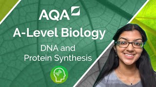 AQA A Level Biology DNA and Protein Synthesis [upl. by Rosario]