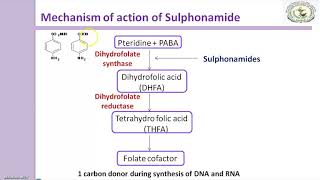 Sulfonamides Mechanism of action [upl. by Lemuelah]