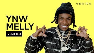 YNW Melly quotMixed Personalitiesquot Official Lyrics amp Meaning  Verified [upl. by Nyahs262]