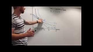 Explanation of Income and Substitution Effects [upl. by Connel]