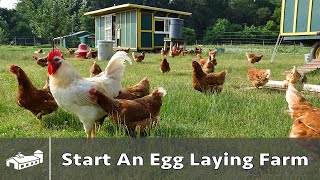 How to Start A Pastured Poultry Egg Farm  AMA S8E1 [upl. by Shugart586]